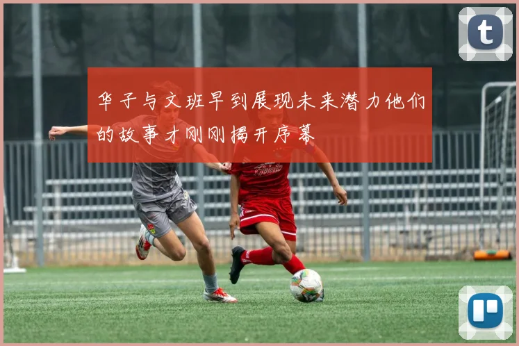 华子与文班早到展现未来潜力他们的故事才刚刚揭开序幕